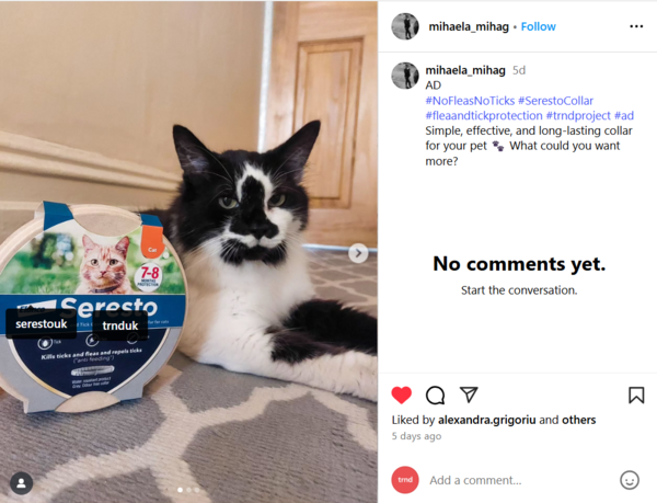 Cat wearing the Seresto collar