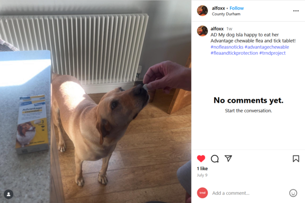 lard dog taking the advantage chewable tablets