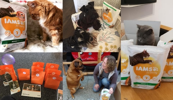 Our team of trndsters