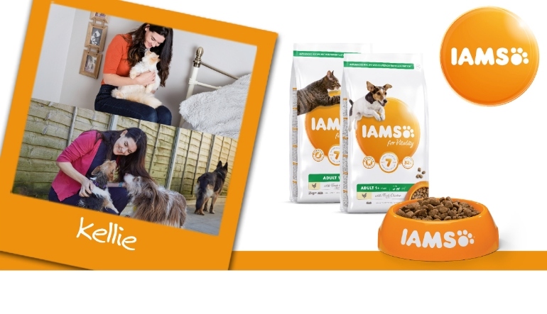 Your contact at IAMS