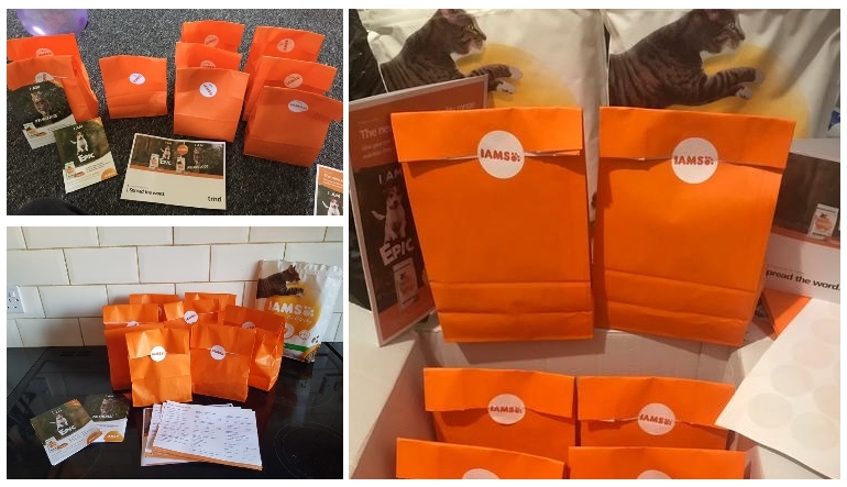 trnsters sharing their IAMS for Vitality