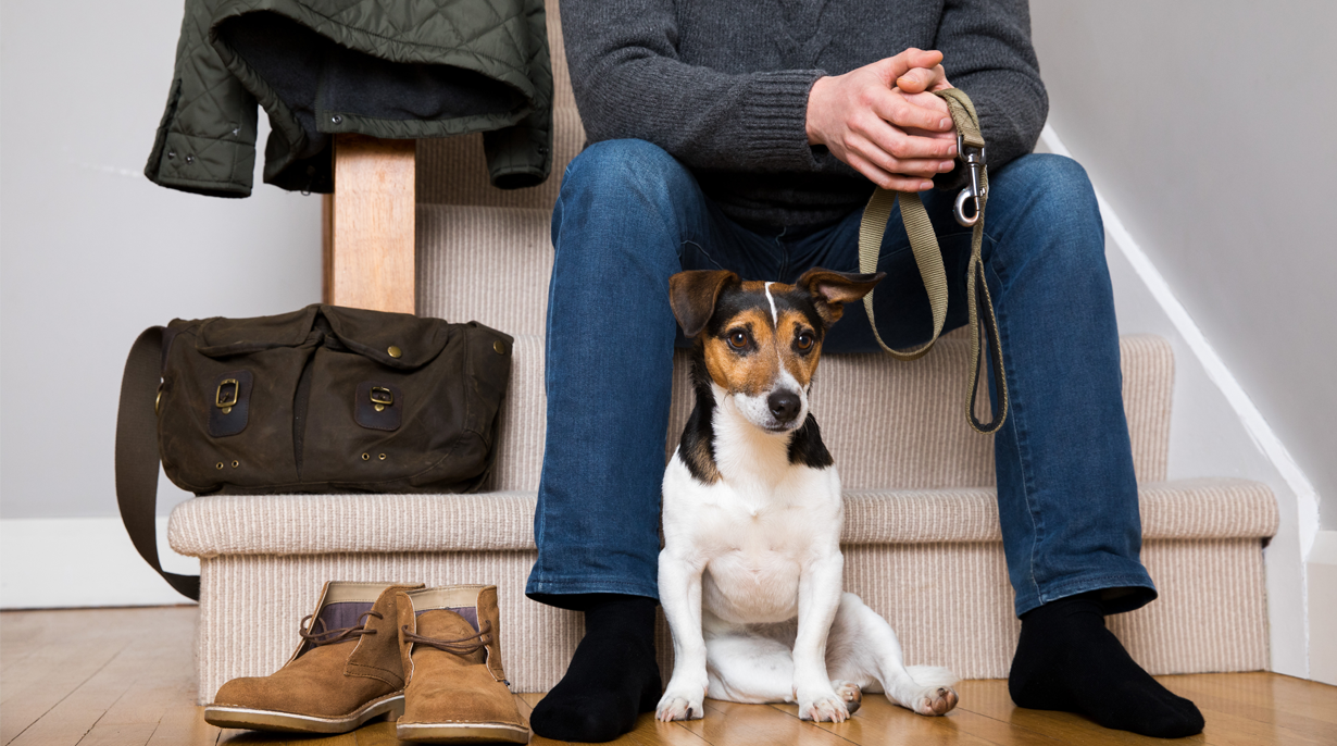 IAMS for Vitality helps your pet's personality shine.