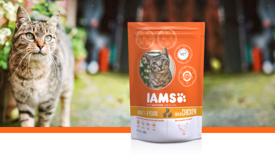 IAMS ProActive Health is designed with cats' needs in mind, providing nutritionally complete dry food that contains premium ingredients and natural animal protein.
