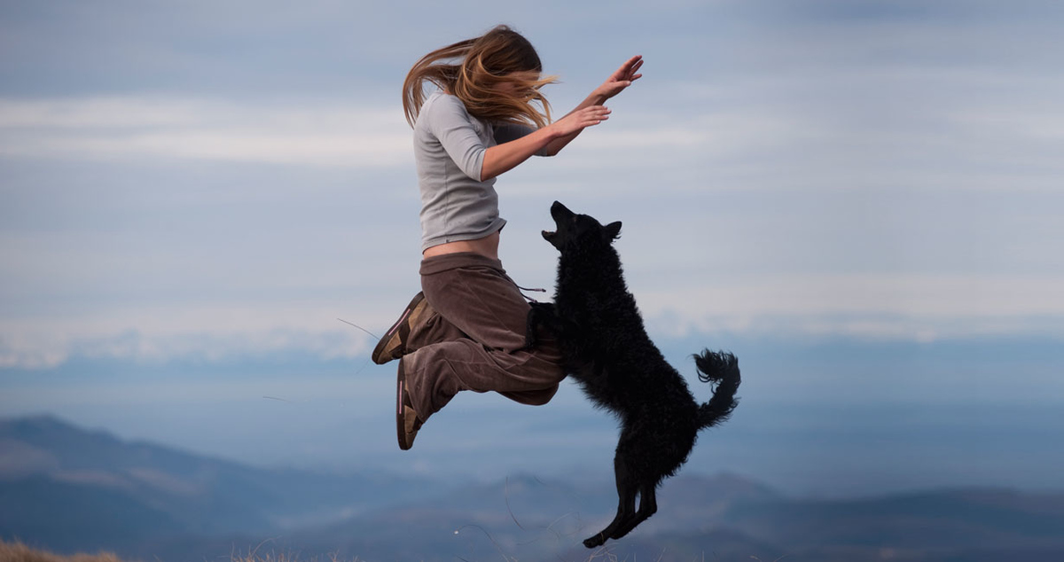 Nutritionally complete food for happy, active dogs