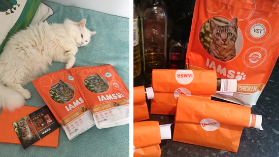 IAMS ProActive Health