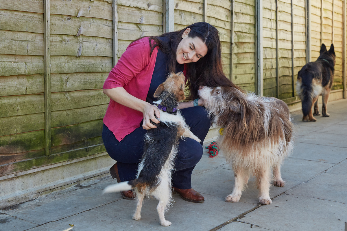 Welcome to the team!