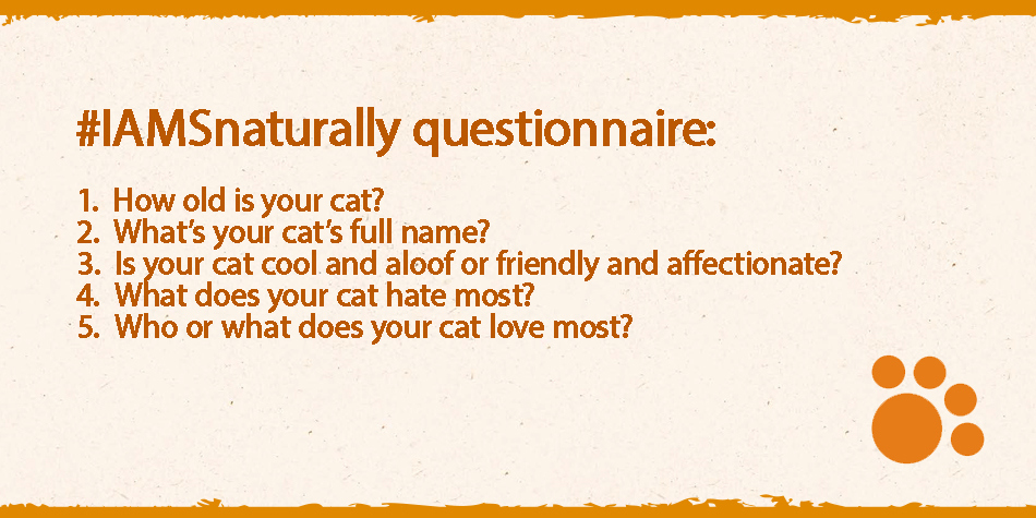 Respond to the IAMS Naturally questionnaire and share it online!