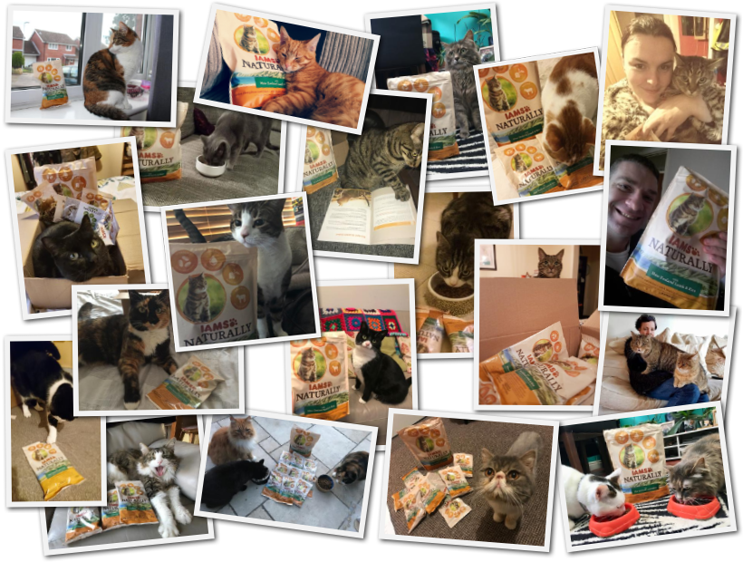 Snaps of the project team