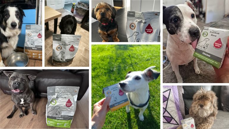 keep-posting-platinum