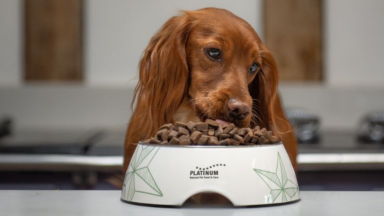 platinum-dry-dog-food