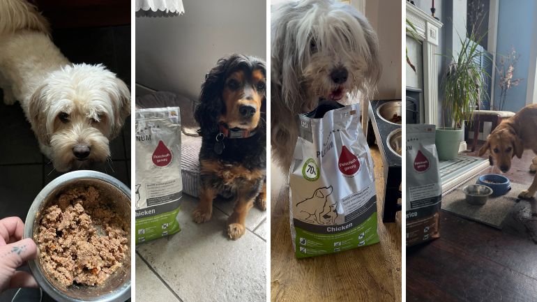 platinum-missions-recap