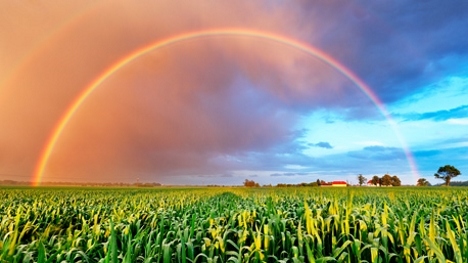 Create your own version and share it around!