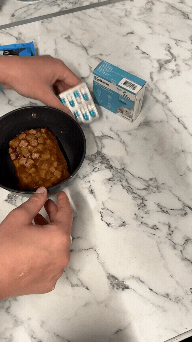 Show the Zylkene Routine