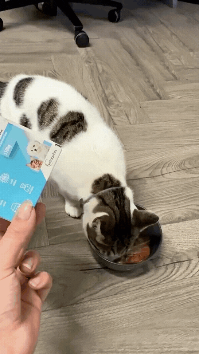 Capture the Zylkene Calm