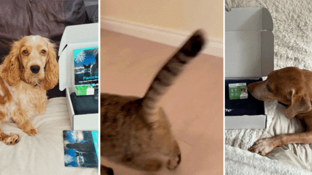 Dogs and cat with the Zylkene starter kits.