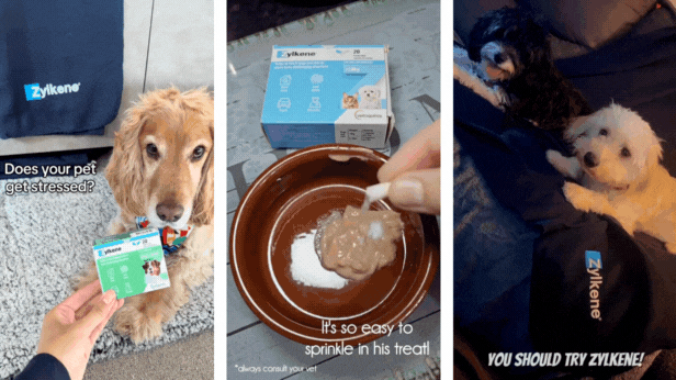 dogs and cats with trying Zylkene Calming Supplements